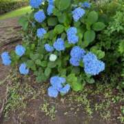 ヒメ日記 2025/06/13 01:52 投稿 つばさ sakura