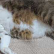 ヒメ日記 2025/12/27 18:27 投稿 山口 美和 熟女パラダイス鶯谷店(カサブランカグループ)