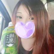 ヒメ日記 2025/08/17 16:57 投稿 ひなこ 群馬伊勢崎ちゃんこ