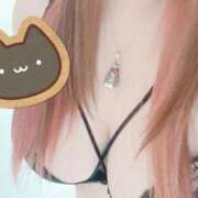 ヒメ日記 2026/02/22 12:24 投稿 ひなこ 群馬伊勢崎ちゃんこ