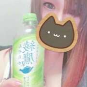 ヒメ日記 2026/02/25 14:27 投稿 ひなこ 群馬伊勢崎ちゃんこ