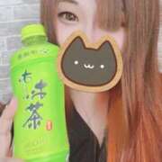 ヒメ日記 2026/04/06 13:57 投稿 ひなこ 群馬伊勢崎ちゃんこ