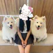 ヒメ日記 2025/09/29 15:12 投稿 なつみ 池袋マリン別館