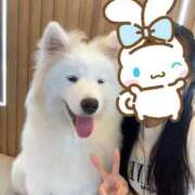 ヒメ日記 2025/11/30 03:25 投稿 なつみ 池袋マリン別館