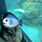 なつみ なんの魚❓ 池袋マリン別館