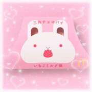 しう しうです🐰 池袋あられ