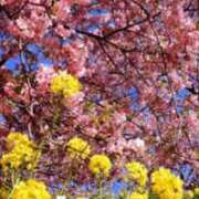 ヒメ日記 2026/02/14 20:46 投稿 みお 完熟ばなな 上野店