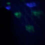 ヒメ日記 2025/11/18 16:48 投稿 凜々彩(りりあ)【艶と甘さ融合】 美魔女コレクション別府店