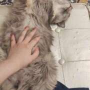 ヒメ日記 2025/06/17 16:40 投稿 なるせ【池袋店】 池袋ハート