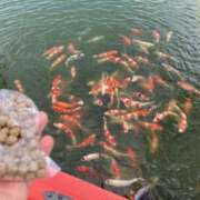 ヒメ日記 2025/08/28 17:16 投稿 せな ハピネス東京 吉原店