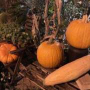 ヒメ日記 2025/10/02 22:48 投稿 せな ハピネス東京 吉原店