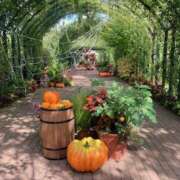 ヒメ日記 2025/10/07 21:26 投稿 せな ハピネス東京 吉原店