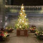 ヒメ日記 2025/11/13 22:36 投稿 せな ハピネス東京 吉原店