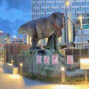 ヒメ日記 2025/11/20 22:26 投稿 せな ハピネス東京 吉原店