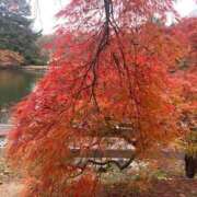 ヒメ日記 2025/11/24 22:06 投稿 せな ハピネス東京 吉原店