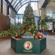 ヒメ日記 2025/12/07 07:46 投稿 せな ハピネス東京 吉原店