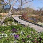 ヒメ日記 2026/04/05 21:56 投稿 せな ハピネス東京 吉原店