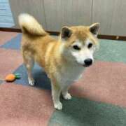 ヒメ日記 2026/04/18 21:56 投稿 せな ハピネス東京 吉原店