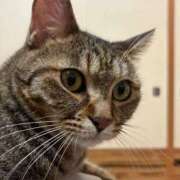 ヒメ日記 2025/08/06 19:46 投稿 歩美 昼顔妻 五反田店