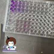 ヒメ日記 2025/07/29 21:01 投稿 天音　さき NADIA大阪店