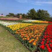 ヒメ日記 2025/09/07 03:00 投稿 天音　さき NADIA大阪店