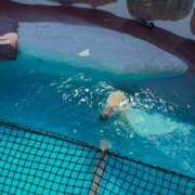 ヒメ日記 2025/08/27 10:16 投稿 ゆら 錦糸町ミセスアロマ（ユメオト）