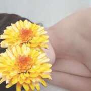 ヒメ日記 2025/09/27 09:43 投稿 ゆら 錦糸町ミセスアロマ（ユメオト）