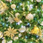 ヒメ日記 2025/11/18 07:52 投稿 ゆら 錦糸町ミセスアロマ（ユメオト）