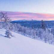 ヒメ日記 2025/11/21 03:50 投稿 ゆら 錦糸町ミセスアロマ（ユメオト）