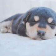 ヒメ日記 2025/12/20 12:01 投稿 ゆら 錦糸町ミセスアロマ（ユメオト）