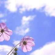 ヒメ日記 2025/12/26 10:10 投稿 ゆら 錦糸町ミセスアロマ（ユメオト）