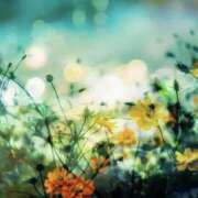 ヒメ日記 2026/01/17 10:20 投稿 ゆら 錦糸町ミセスアロマ（ユメオト）