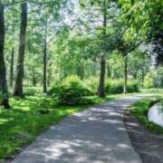 ヒメ日記 2026/02/17 07:30 投稿 ゆら 錦糸町ミセスアロマ（ユメオト）