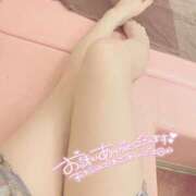 ヒメ日記 2026/02/17 12:29 投稿 しいな 極楽城(ゴクラクジョウ)