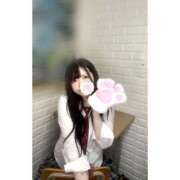 ヒメ日記 2025/08/11 08:36 投稿 ねね 美女のカタチ