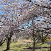 みなみ 来週！！ 秋葉原コスプレ学園in仙台