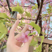 みく 🗣️本日出勤🌸 かりんと大久保・新大久保