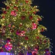 ヒメ日記 2025/12/17 19:40 投稿 さわ＠未経験 スピードエコ天王寺店