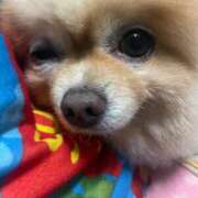 ヒメ日記 2026/02/23 13:20 投稿 ゆの サンキュー沼津店（サンキューグループ）