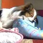 ヒメ日記 2026/04/03 21:39 投稿 ゆの サンキュー沼津店（サンキューグループ）