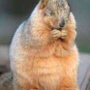 ヒメ日記 2025/08/26 17:00 投稿 もか カリビアン