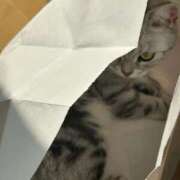 ヒメ日記 2025/08/14 13:56 投稿 ななせ 柏人妻花壇