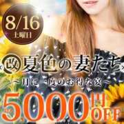 ヒメ日記 2025/08/16 08:40 投稿 ななせ 柏人妻花壇