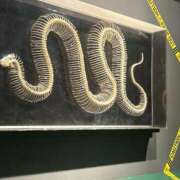 ヒメ日記 2026/03/27 10:31 投稿 ななせ 柏人妻花壇