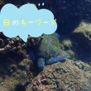 ヒメ日記 2026/05/12 09:23 投稿 ななせ 柏人妻花壇