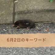 ヒメ日記 2026/06/02 09:34 投稿 ななせ 柏人妻花壇