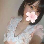 ヒメ日記 2025/06/20 00:34 投稿 さく 姫コレクション