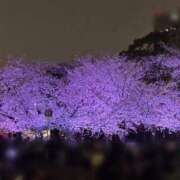 ヒメ日記 2026/04/01 14:15 投稿 みいひ でりどす