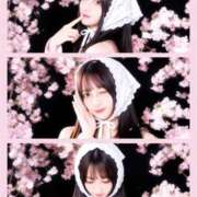 ヒメ日記 2026/04/06 10:45 投稿 みいひ でりどす