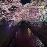 ヒメ日記 2026/04/13 00:30 投稿 みいひ でりどす